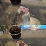 Cupcake Block Dog meme