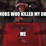 Vader Rage | MOBS WHO KILLED MY DOG; ME | image tagged in memes,darth vader,star wars,minecraft,minecraft memes,star wars memes | made w/ Imgflip meme maker