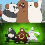 We bear bears different