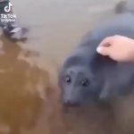 hi GIF Template
