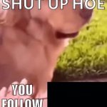 Shut up hoe you follow x meme