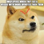 Confused Angery Doge | IMGFLIPERS WHEN THEY SEE A VEGGIE WITH MORE UPVOTES THEN THEM | image tagged in confused angery doge | made w/ Imgflip meme maker