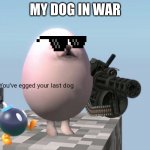 You've Egged Your Last Dog | MY DOG IN WAR | image tagged in you've egged your last dog | made w/ Imgflip meme maker