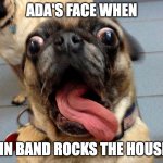 Shocked Bull Dog | ADA'S FACE WHEN; HN BAND ROCKS THE HOUSE | image tagged in shocked bull dog | made w/ Imgflip meme maker