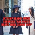 William's Pimp Had is Much Stronger! | MY PIMP HAND IS MUCH STRONGER THAN YOUR'S HARRY, SHALL I SHOW YOU? | image tagged in bro she a ho don't you know | made w/ Imgflip meme maker