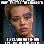 Contentious! Have your say here! | THE BEST TV THEME?
WHY IT'S STAR TREK VOYAGER; TO CLAIM ANYTHING ELSE WOULD BE FUTILE | image tagged in seven of nine serious,tv show,theme song,star trek voyager | made w/ Imgflip meme maker