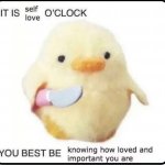 Killer Duck ? meme