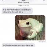 Funny Frog and Landlord