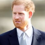 prince harry todger