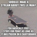 I know for a fact: I will | SHOULD I MAKE A STREAM ABOUT THIS LIL MAN? YOU BASICALLY POST STUFF FOR POINT AS LONG AS IT HAS PIGEON ON A SKATEBOARD | image tagged in pigeon on a skateboard | made w/ Imgflip meme maker