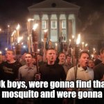 When vampire bugs ruin drinking night.... | Ok boys, were gonna find that damn mosquito and were gonna kill it! | image tagged in mosquito attack,angry mob,control,people | made w/ Imgflip meme maker