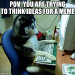 Trying to make memes | POV: YOU ARE TRYING TO THINK IDEAS FOR A MEME | image tagged in memes,dogs | made w/ Imgflip meme maker