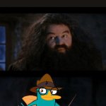 Perrrrry! | YOU’RE A WIZARD, PERRY | image tagged in you are a wizard harry | made w/ Imgflip meme maker