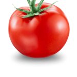 tomato