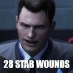 28 STAB WOUNDS