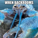 blue lobster | WHEN BACKROOMS | image tagged in blue lobster | made w/ Imgflip meme maker