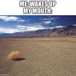 desert tumbleweed | ME: WAKES UP
MY MOUTH: | image tagged in desert tumbleweed,waking up,mouth,dry | made w/ Imgflip meme maker
