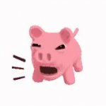 Squealing Pig JPP TOP GIF Template
