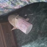 Face Cover