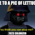Ninjago | ME TO A PIC OF LETTUCE; 2023 COLORIZED | image tagged in ninjago | made w/ Imgflip meme maker