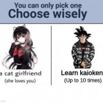 Choose wisely | Learn kaioken (Up to 10 times) | image tagged in choose wisely | made w/ Imgflip meme maker