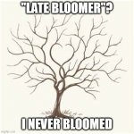 TREE BRANCH | "LATE BLOOMER"? I NEVER BLOOMED | image tagged in tree branch | made w/ Imgflip meme maker