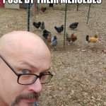 Chicken rich | SOME MIDDLE AGED MEN POSE BY THEIR MERCEDES | image tagged in chicken rich | made w/ Imgflip meme maker