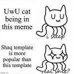I sleep real sh*t | UwU cat being in this meme; Shaq template is more popular than this template | image tagged in sleeping uwu cat,sleeping shaq | made w/ Imgflip meme maker