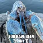 Lobster font | YOU HAVE BEEN                'D; Lobster | image tagged in blue lobster,lobster,font,memes,dank memes | made w/ Imgflip meme maker
