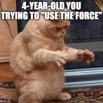 Thanks, Yoda. | 4-YEAR-OLD YOU TRYING TO "USE THE FORCE" | image tagged in confused cat | made w/ Imgflip meme maker