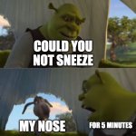 Who relates to this? | COULD YOU NOT SNEEZE; MY NOSE; FOR 5 MINUTES | image tagged in could you not ___ for 5 minutes | made w/ Imgflip meme maker