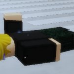 My Roblox avatar dying inside