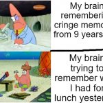 why brain | My brain remembering cringe memories from 9 years ago; My brain trying to remember what I had for lunch yesterday | image tagged in why,why are you reading this | made w/ Imgflip meme maker