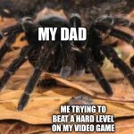 #goodtimes | MY DAD; ME TRYING TO BEAT A HARD LEVEL ON MY VIDEO GAME | image tagged in spider and frog | made w/ Imgflip meme maker
