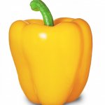 Pepper | image tagged in vegetable | made w/ Imgflip meme maker