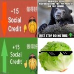 ` | image tagged in social credit,lettuce | made w/ Imgflip meme maker
