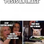 Dumb Meme #81 | *POSTS AN IMAGE*; STOP POSTING MEMES; THAT WAS NOT A MEME; NO ONE CARES STOP POSTING MEMES | image tagged in lady screams at cat | made w/ Imgflip meme maker