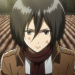 Mikasa hurt