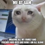 Crys | ME AT 4AM; IMAGING ALL MY FAMILY AND FRIENDS HAD DIED AND NOW I AM ALL ALONE | image tagged in sad cat tears | made w/ Imgflip meme maker