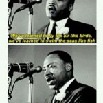 MLK quote air sea earth meme