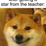Those sticker sheets were literally so iconic | 8 year old me after getting a star from the teacher: | image tagged in shibe,memes,funny,true story,relatable memes,school | made w/ Imgflip meme maker