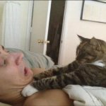 Cat strangling person