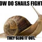 Daily Bad Dad Joke January 17 2023 | HOW DO SNAILS FIGHT? THEY SLUG IT OUT. | image tagged in snail | made w/ Imgflip meme maker