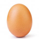 Mr eggy