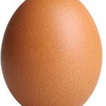 Egg