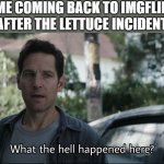 like for real | ME COMING BACK TO IMGFLIP AFTER THE LETTUCE INCIDENT | image tagged in what the hell happened here | made w/ Imgflip meme maker