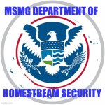 MSMG Department of Homestream Security template