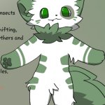 issy the furry