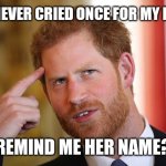Harry forgot his mom | NO I NEVER CRIED ONCE FOR MY MOM; REMIND ME HER NAME? | image tagged in prince harry,meghan markle,funny memes | made w/ Imgflip meme maker