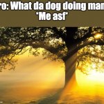 whaat da dog | bro: What da dog doing man...
*Me asf* | image tagged in nature | made w/ Imgflip meme maker